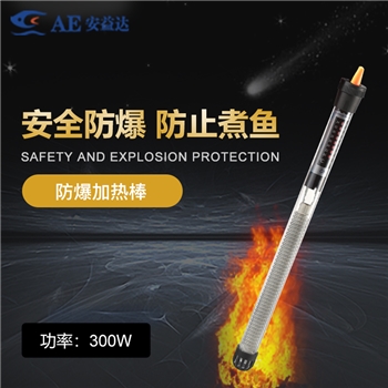 HT-A200W/300W防爆加热棒